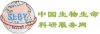 王娟