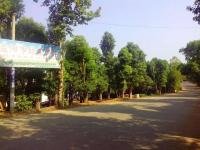 曾世安 湖南益陽綠鑫園林