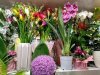 Florist Shop "Kwiaciarnia Mielec"