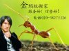 广州金蚂蚁搬家公司24小时愿为您提供优质的搬家服务！