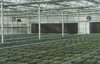 青岛蔬菜温室|蔬菜大棚管理小妙招