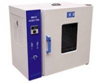 数显鼓风干燥箱