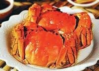 大闸蟹 阳澄湖大闸蟹 上海大闸蟹 买大闸蟹 卖大闸蟹 大闸蟹销售 大闸蟹出仓