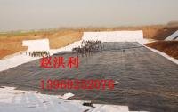 hdpe防渗膜